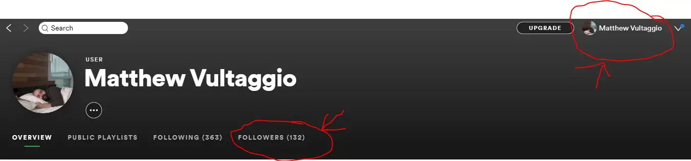 How To See Who Follows & Likes Your Spotify Playlist